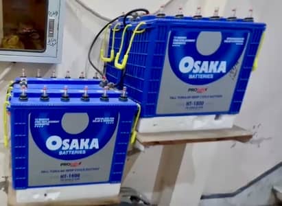 Osaka Bettrys For Sale