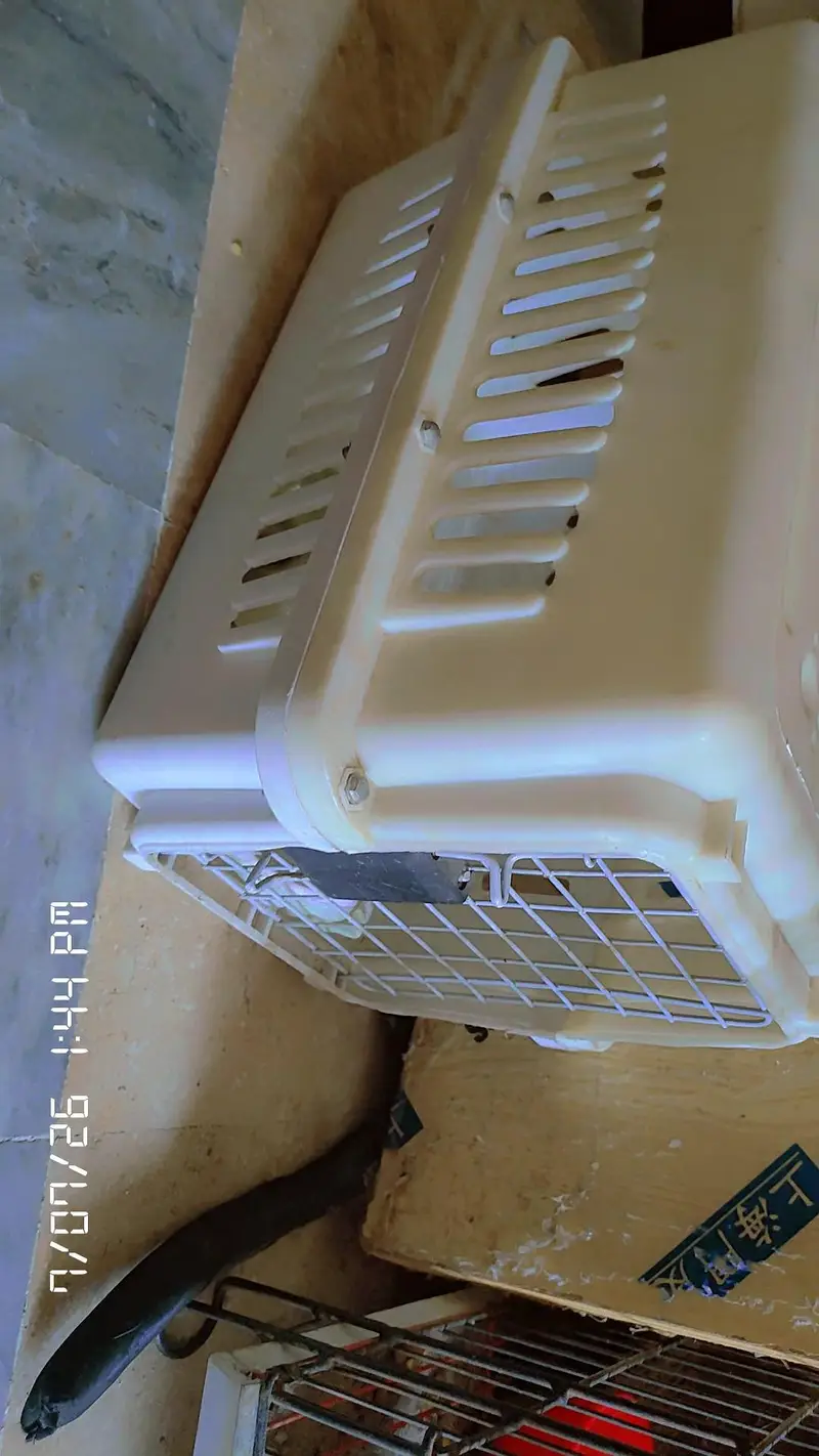 jet box cat — photo 2