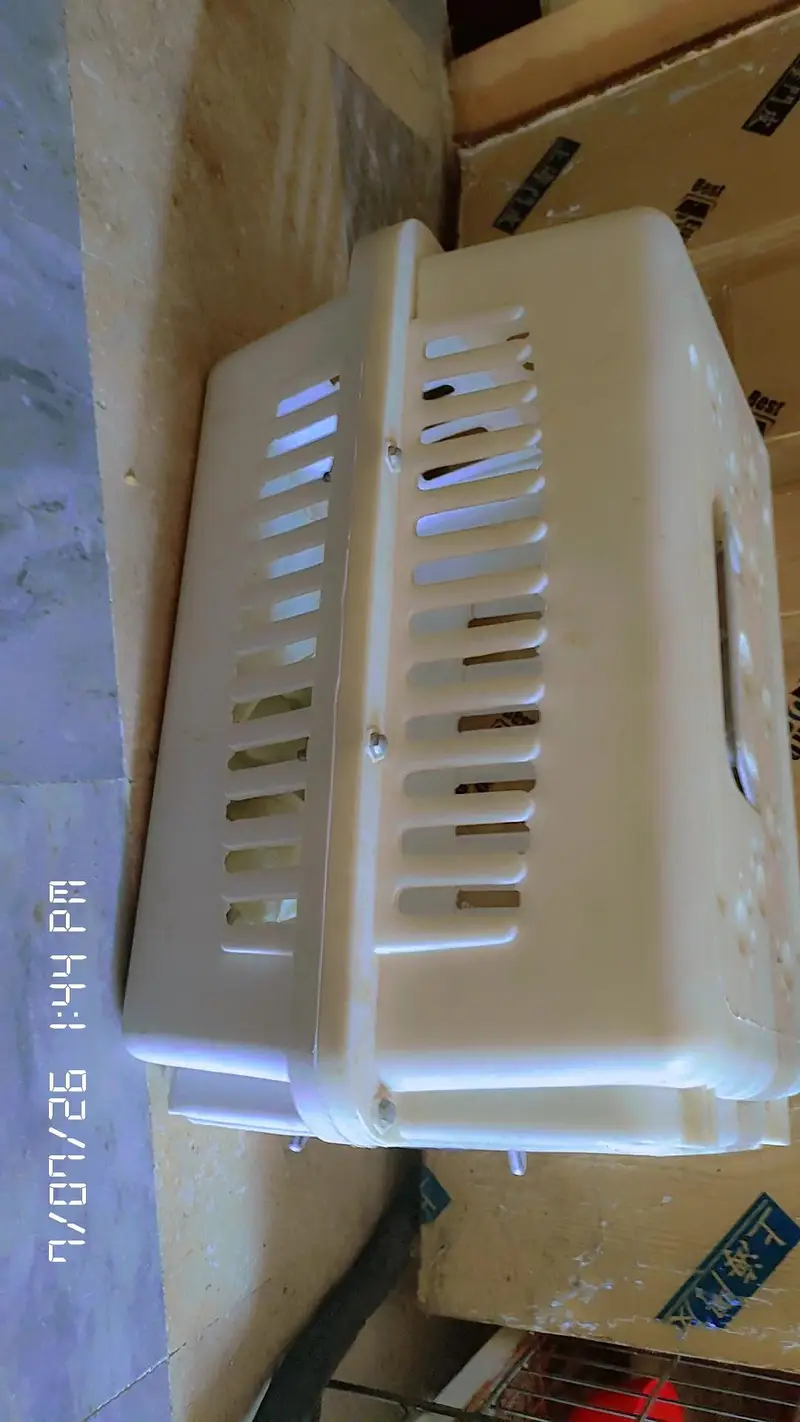 jet box cat — photo 3