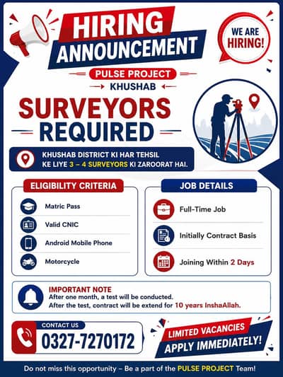 Pulse Project Serveyers Job's