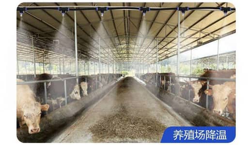 Fogger for Animals | Temperature Controller