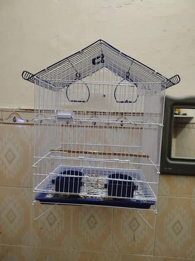 Ringneck parrots Bird Cage