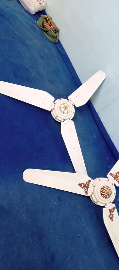 fancy fan