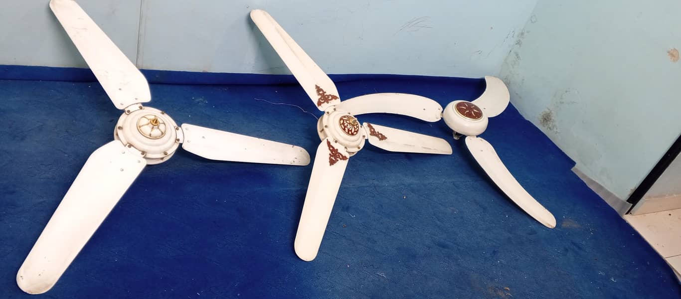 fancy fan 3