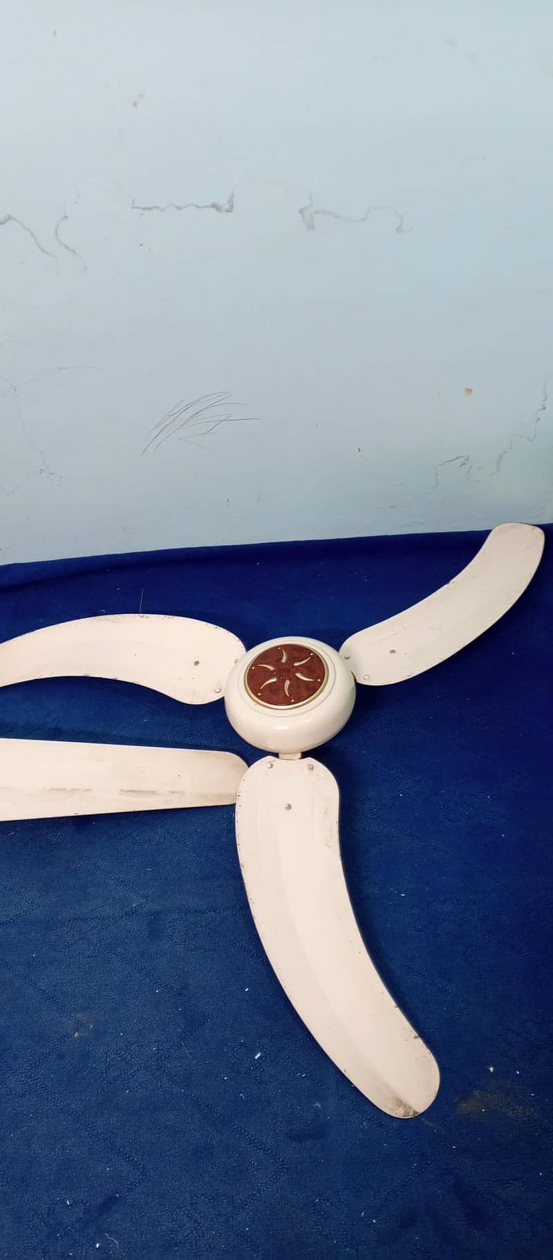 fancy fan 4