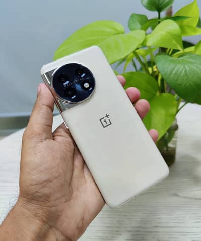 OnePlus 11 Special Edition