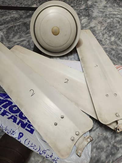 Ceiling Fans | Good Condition | Fully Working