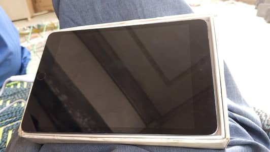 iPad mini 5