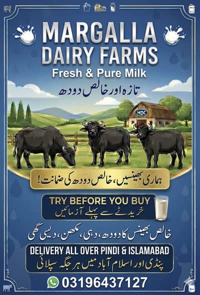 Aik Larka Chahiya Shop ka Liya Milk Shop hn