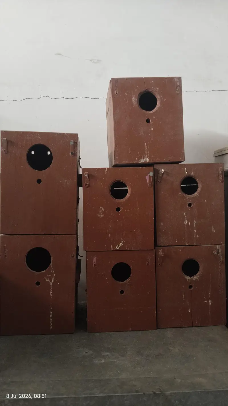 Breeding boxes ( priece per piece hai)