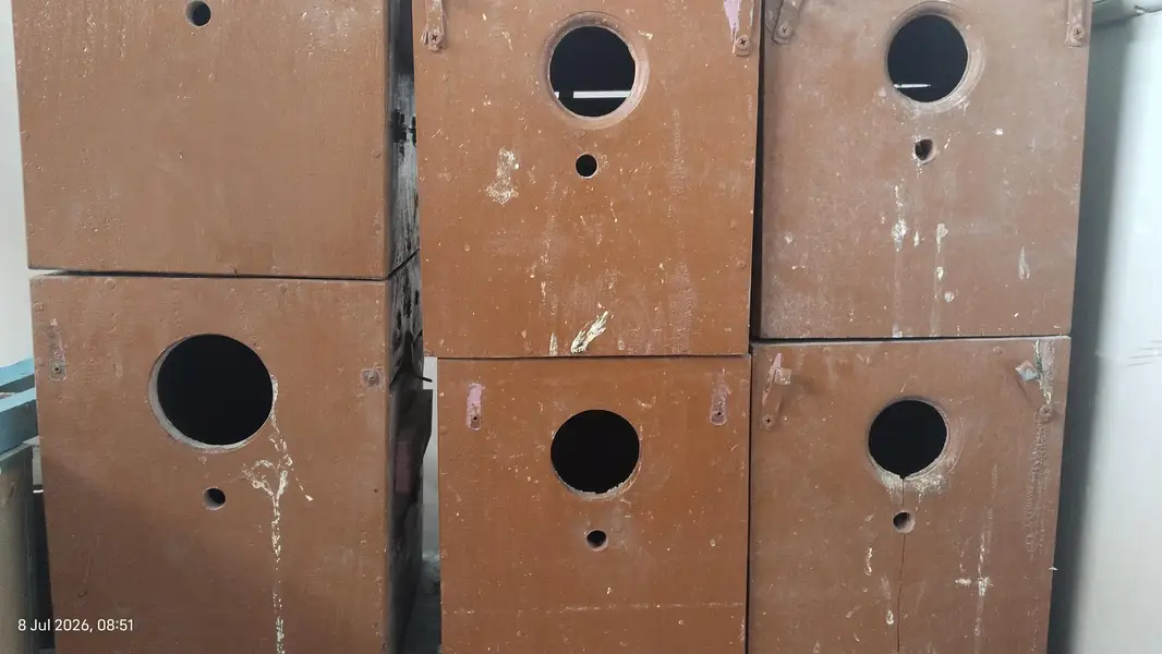 Breeding boxes ( priece per piece hai) — photo 2