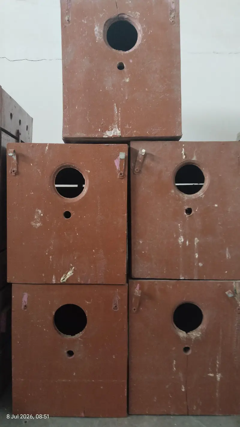 Breeding boxes ( priece per piece hai) — photo 3