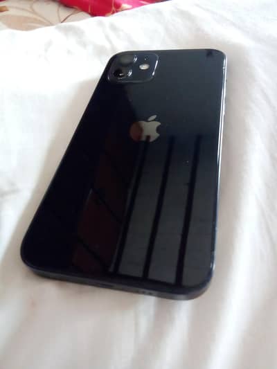 Apple iPhone 12