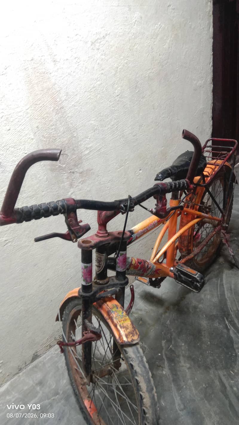 frari cycle 0