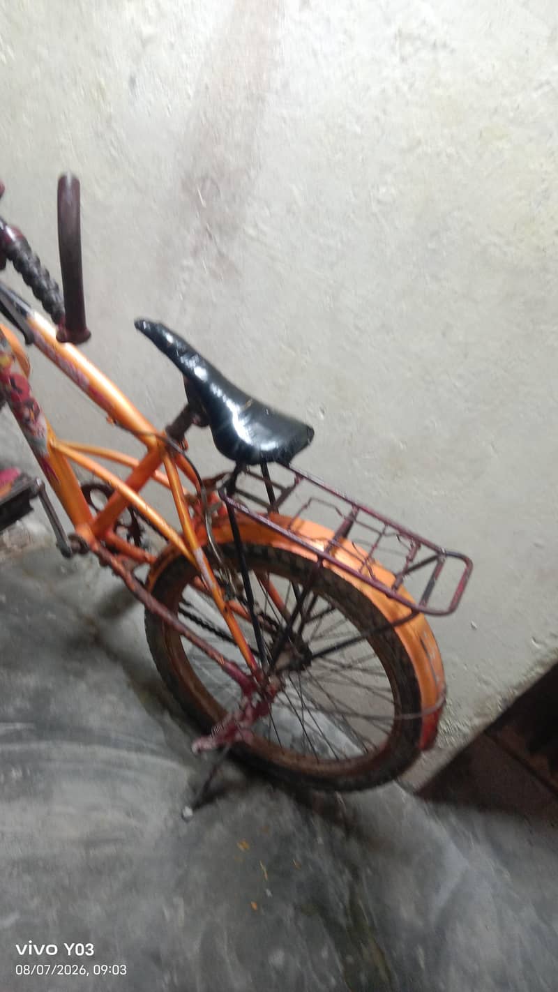 frari cycle 1