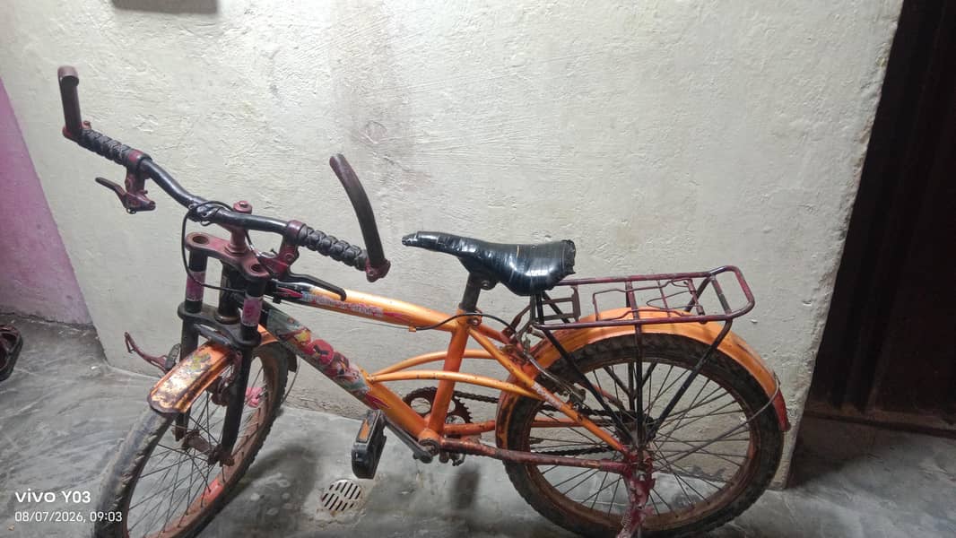 frari cycle 2