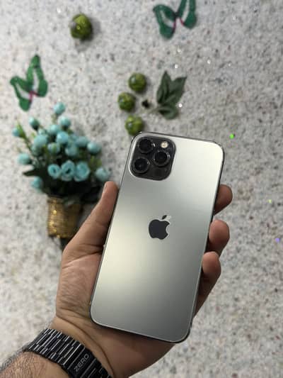Apple iPhone 12 Pro Max