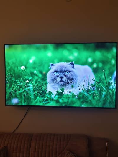 TCL 55" V6B 4K Google TV – Like New | Only 6 Months Used