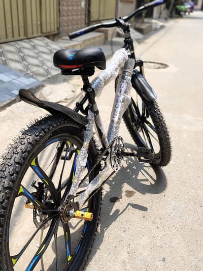 PHOENIX SILVER ALLOY NEW CYCLE