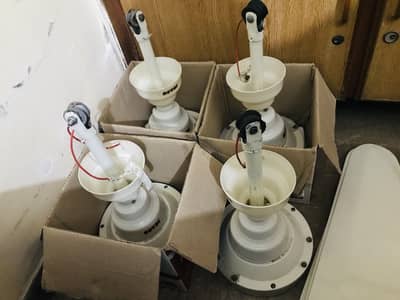 4 pcs Royal fan for sale