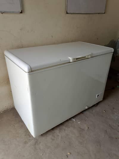 Haier fareezar