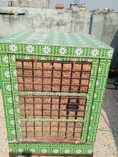 Asia Air cooler