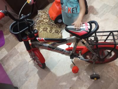 cycle china