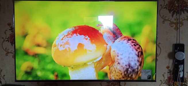 Haier50s80eEUX QLED Google tv