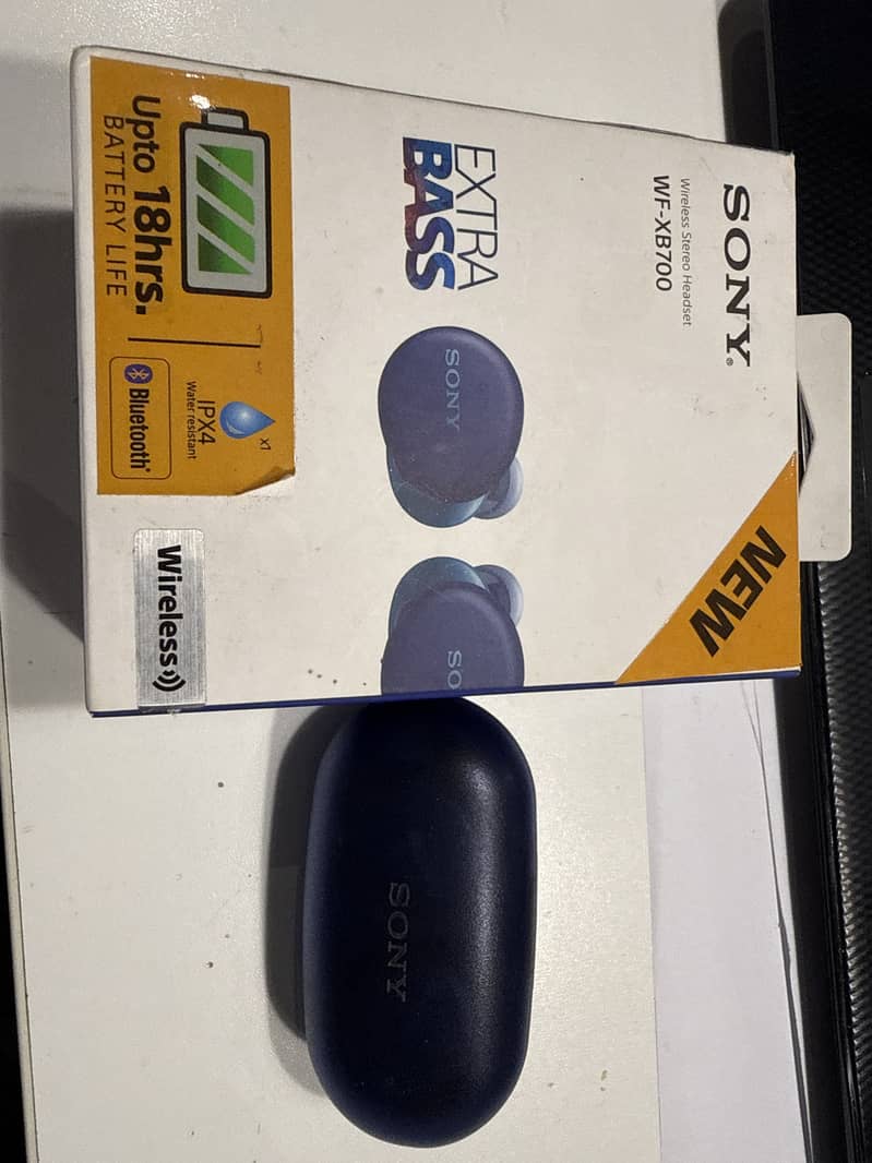 Earbuds 1