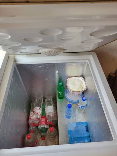 Haier two door freezer