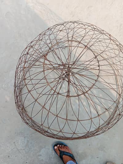 aseel pair cage for sale in jhang road airport