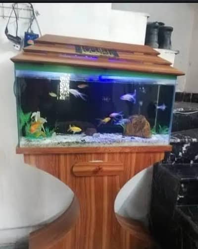 fishtank
