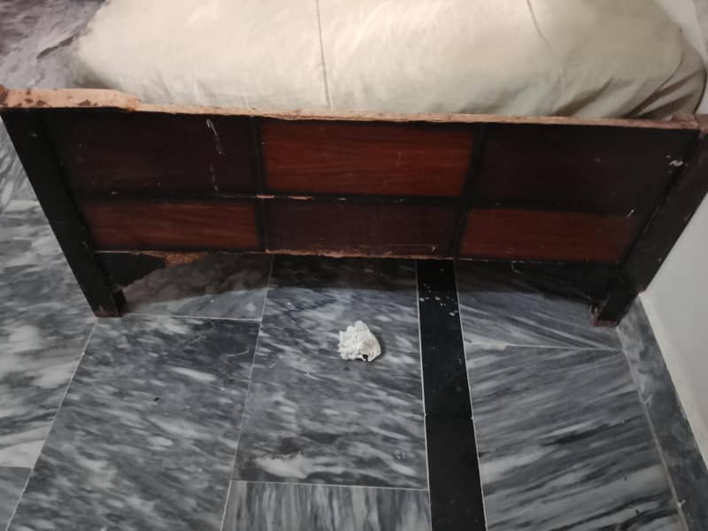 Single bed 1