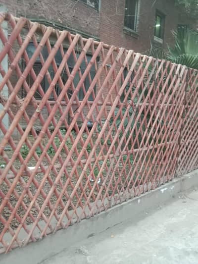 Bamboo Jafri
