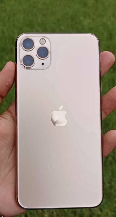 Apple iPhone 11 Pro Max (MDM bypass )
