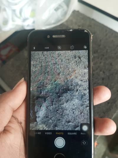 Apple iPhone 7