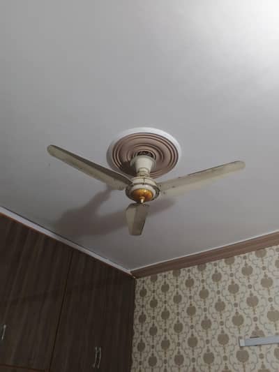 Pak Fan