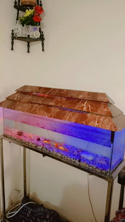 Aquarium with stand and fishes