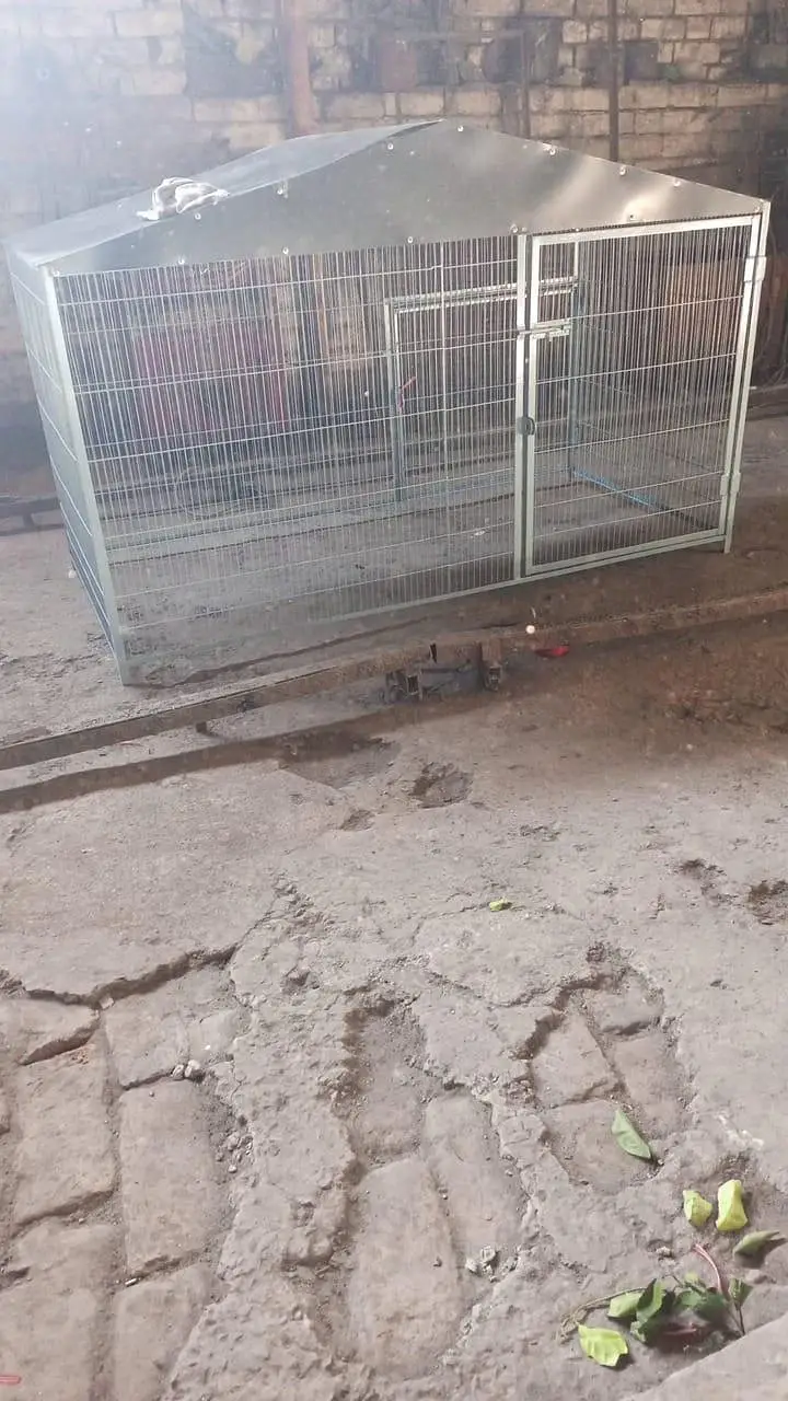 hen cage — photo 2