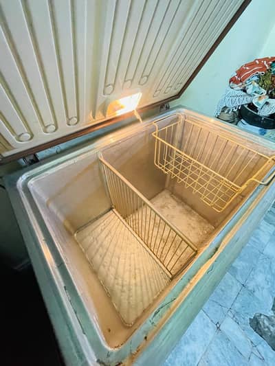 deep Freezer (03236993684)