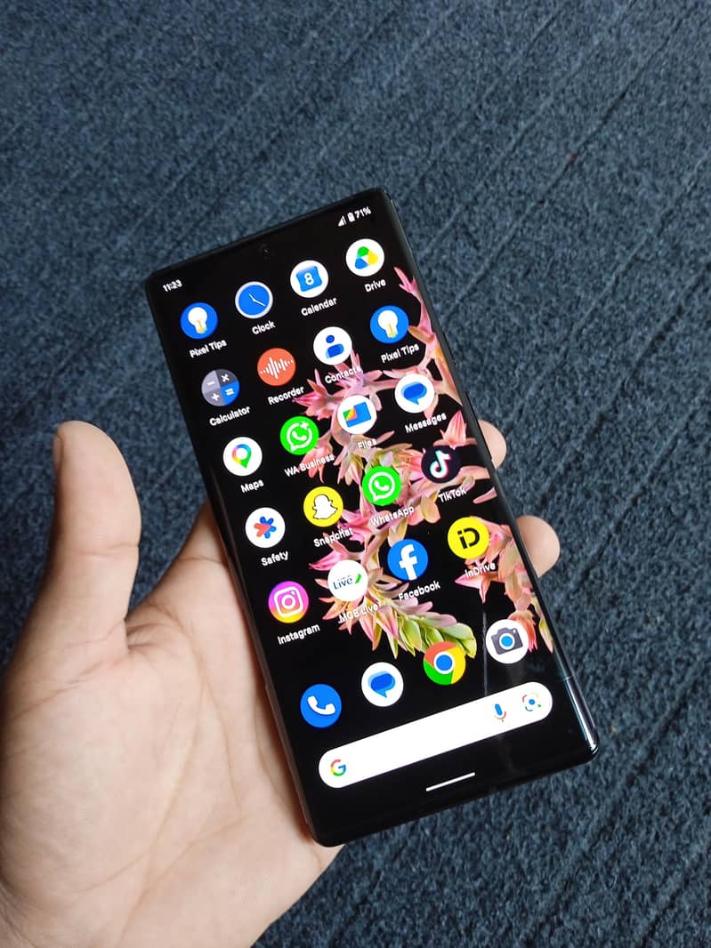 Google Pixel 6 Pro 1