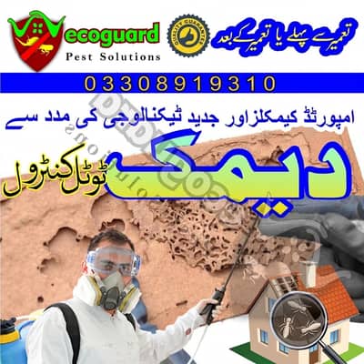 Termite Control | Deemak Treatment | Cockroach & Pest Control Service