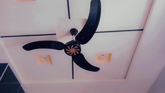 sonex fan