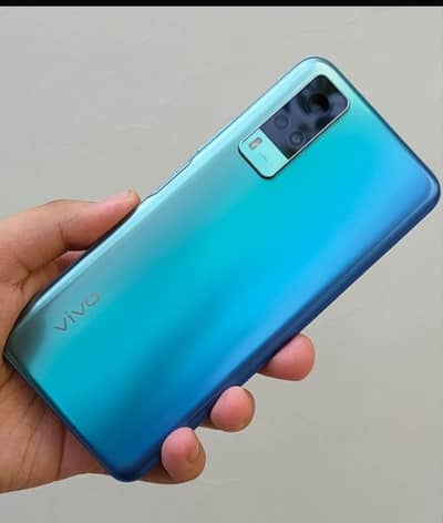 vivo y31