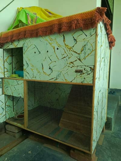 cat house