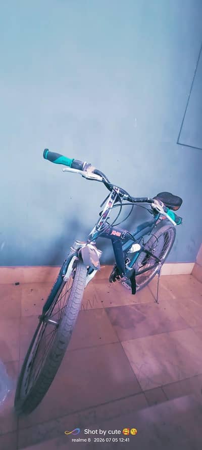 Cycles