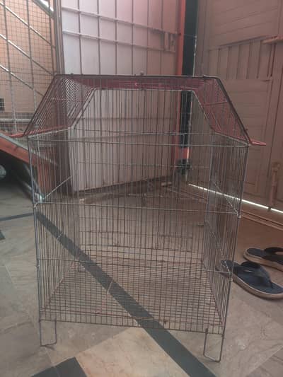 cage for parrot and peigen