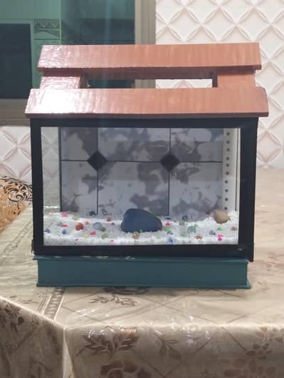 Fish  Box