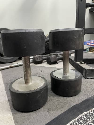 JS 14KG Commercial Dumbbell Pair