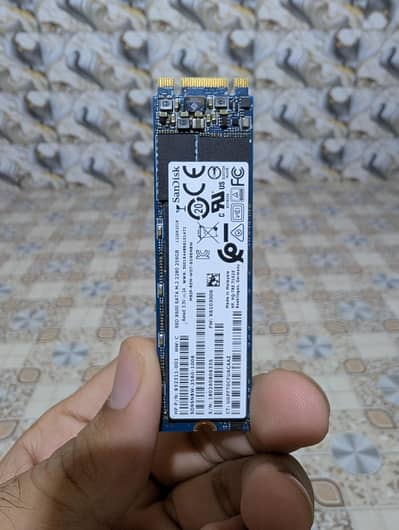 SanDisk 256GB NVMe M. 2 SSD for Laptop & PC | Ultra-Fast Boot Drive